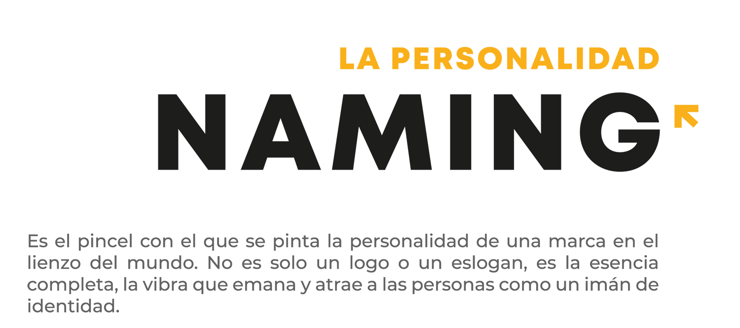 web 3k 2024 v2 destripada-06