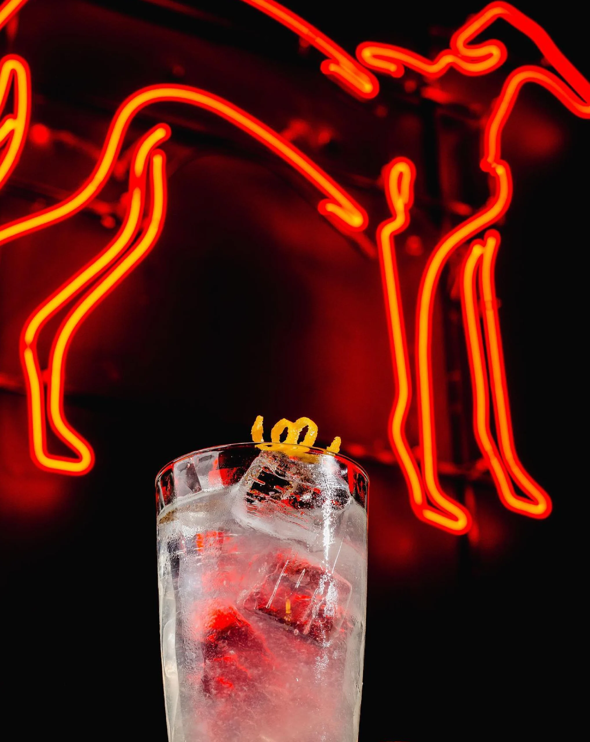 Proyecto Galgo Speakeasy